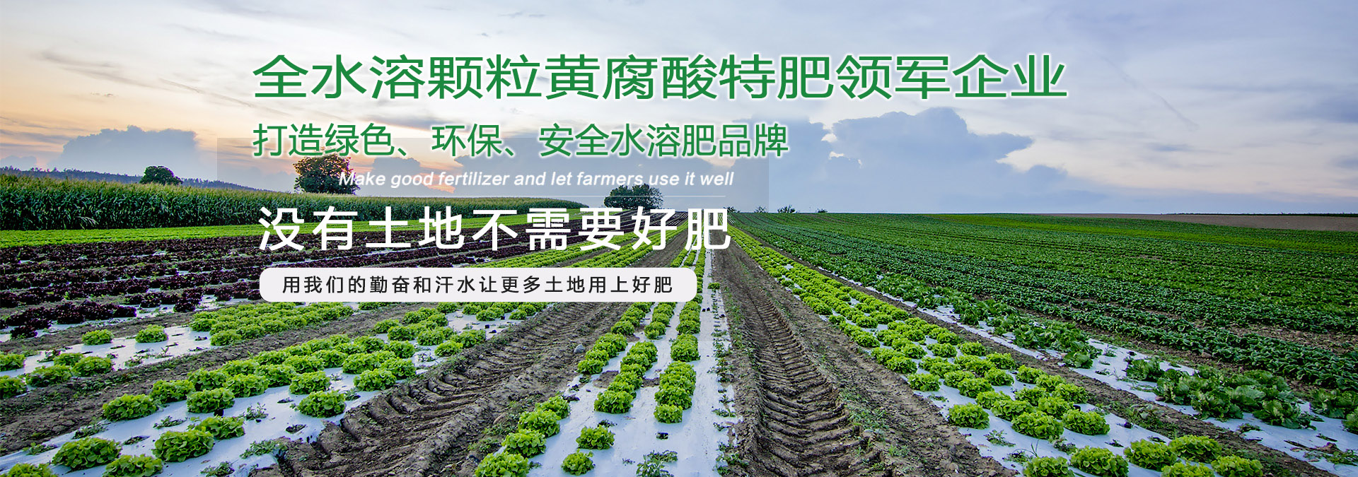 水溶肥厂家